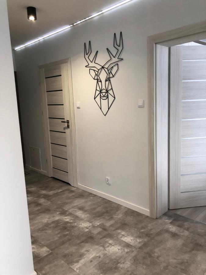 Apartament Happiness Jelenia Góra Esterno foto